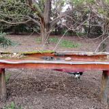 photo 2021-04-10 19-01-40