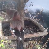 photo 2019-12-25 09-01-35