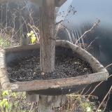 photo 2019-12-25 09-30-09