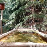 photo 2023-10-12 13-28-36