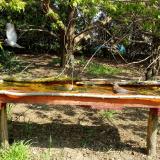 photo 2021-04-22 10-03-14