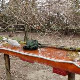 photo 2021-03-25 09-14-09