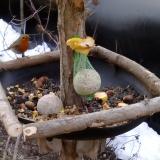 photo 2019-01-17 07-54-53