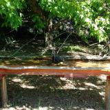 photo 2021-05-10 11-02-24