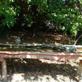 photo 2021-09-26 11-38-39