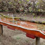 photo 2021-04-03 09-21-05