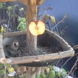 photo 2019-12-03 12-50-57