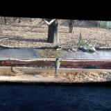 photo 2021-12-04 12-54-00