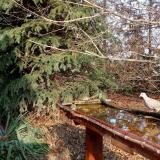 photo 2021-11-14 13-25-07