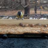 photo 2021-11-10 10-18-23