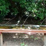 photo 2021-08-09 12-21-58