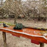 photo 2021-03-22 10-36-59