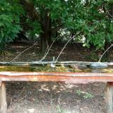 photo 2021-08-23 12-29-12