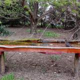 photo 2021-04-16 18-13-17