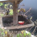 photo 2019-12-06 10-33-58