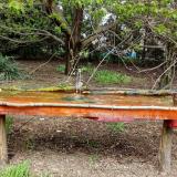 photo 2021-04-19 12-49-39