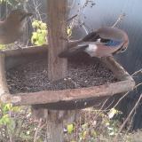 photo 2019-12-19 09-19-18