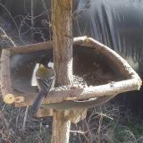 photo 2019-03-14 13-41-11