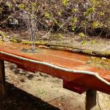 photo 2021-04-07 11-59-17