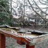 photo 2022-03-02 07-07-07