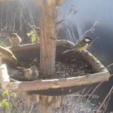 photo 2019-12-28 10-28-35