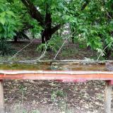 photo 2021-05-20 15-37-39