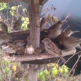 photo 2019-12-12 12-55-14