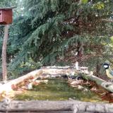 photo 2023-10-04 08-49-10