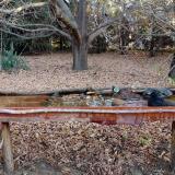 photo 2021-10-26 07-57-52