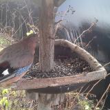 photo 2019-12-25 09-09-03