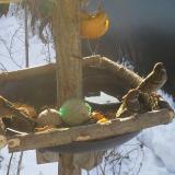 photo 2019-01-27 09-12-46