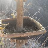 photo 2019-12-30 08-52-45