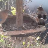 photo 2019-12-19 09-18-35