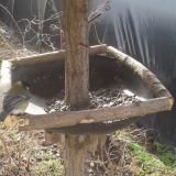 photo 2019-03-15 09-13-11