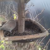 photo 2019-12-25 12-50-53