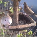 photo 2019-12-15 15-01-37