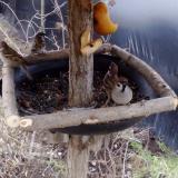 photo 2019-02-03 06-48-58