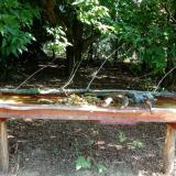 photo 2021-07-22 09-34-52