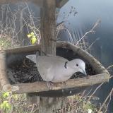 photo 2019-12-25 14-40-54