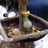 photo 2019-01-15 10-56-21