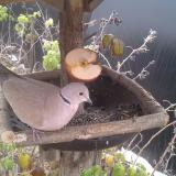 photo 2019-12-04 11-07-23