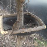 photo 2019-03-04 07-08-16