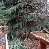 photo 2021-11-13 12-28-42