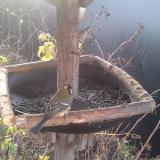 photo 2019-12-22 08-08-22