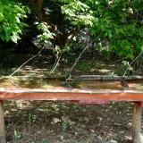 photo 2021-05-15 09-20-38