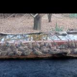 photo 2021-11-30 14-17-12 56