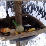 photo 2019-01-22 08-21-56