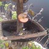 photo 2019-12-04 10-37-02