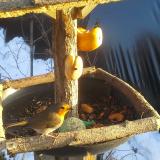 photo 2019-01-29 15-42-12