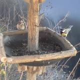 photo 2019-12-31 13-10-28